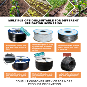 Ruban goutte-à-goutte plat en plastique 16 mm, débit 0,8 L/H, épaisseur 0,4 mm, rouleau de 2000 m, 100 % PE vierge pour l'irrigation du maïs - Product Image 2