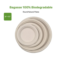 Assiette en bagasse de 8 pouces, résistante à la chaleur, compatible micro-ondes, jetable, biodégradable, respectueuse de l'environnement, pour fêtes, restaurants, camping