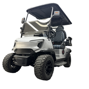 Voiturette de golf Falcon Di Nuovo Design, scooter à trois roues, prix bas, surélevée, en provenance de Chine, grand succès commercial - Product Image 2