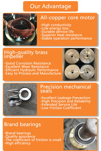 Ac + dc Bomba Solar Brushless MPPT Controlador Set - Product Image 6