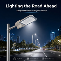 Lampadaire LED extérieur en aluminium étanche IP65 100W 200W 250W 300W 400W pour éclairage public, routes et parkings