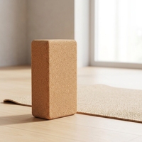 Syntus Kork Yoga Block & Gurt Set 2-teilig Hochdichte Weiche Rutschfeste Yoga-Blöcke 9x6x4 Zoll 8FT Metall D-Ring Gurt für Pilates