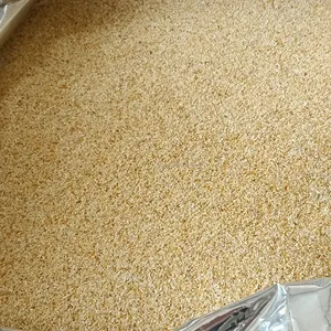 High Quality Organic Dehydrated Air-dried Garlic flakes garlic granule minced granulated ground export for USA market