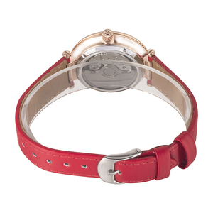 Akires Japón Original MIYOTA movimiento mecánico automático mujer impermeable reloj para las mujeres Reloj de mujer - Product Image 5