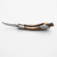 Vente chaude de luxe de Nouvelle conception de haute qualité en bois poignée en acier inoxydable couteau de coupe couteau à champignon couteau de jardin avec brosse