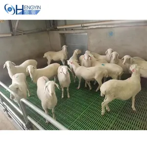 Suelo de listón de plástico para ganado, listones de plástico para granja de ovejas, cerdo y cabra