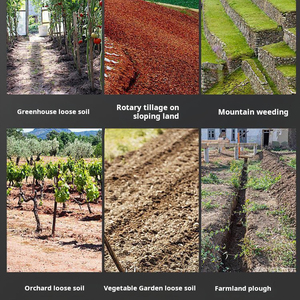 <span class=keywords><strong>Motoculteur</strong></span> à essence 4 temps 144CC Cultivateurs <span class=keywords><strong>de</strong></span> jardin Machines agricoles pour l'agriculture à petite échelle avec <span class=keywords><strong>roue</strong></span> à dents <span class=keywords><strong>de</strong></span> <span class=keywords><strong>motoculteur</strong></span> - Product Image 6