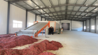 Meerlaagse continue mesh-banddroogmachine met hete lucht voor fruit, gember, chili, ui, groenten, bananenchips, druiven en cassave