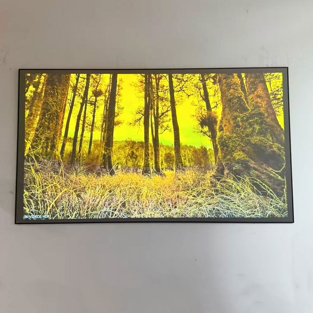 ultra Short Throw Projector Fixed Frame Ust ALR Screen Ambient Light Rejecting Projection Screen for Home Theatre