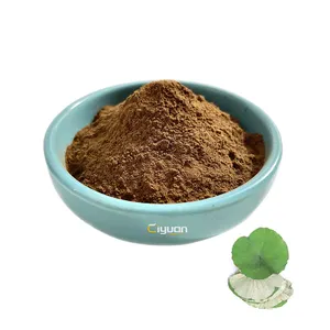 Factory Direct In Stock Lotus Leaf Extract Powder Nuciferin 2% 98%