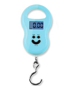 Bilancia a Molla Elettronica Portatile con Gancio, Mini Bilancia Elettronica per Alimenti - Product Image 2
