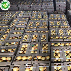 ส้มโอหวานออร์แกนิคสด รสชาติเข้มข้น ขนาด 100 ซม. น้ำหนัก 10 กก. ผลไม้ส้มเอเชียเพื่อสุขภาพ - Product Image 3