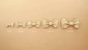 Corbata de Moño con Lunares Grises - Product Image 2