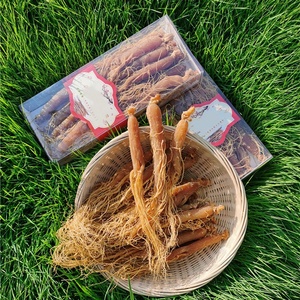 1011 Hong Shen Natural Mejor Precio Rojo Coreano Panax <span class=keywords><strong>Ginseng</strong></span> Raíz Para Té - Product Image 1