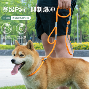 P - Product Image 1