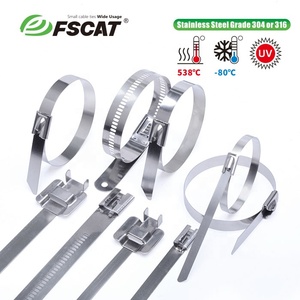 FSCAT 304不锈钢金属拉链扎带300毫米100件重型250LB多用途机械车 - Product Image 2