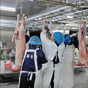 Machine à dépecer les peaux de chèvre et de mouton en acier inoxydable de haute qualité pour abattoir et <span class=keywords><strong>boucherie</strong></span>, équipement de ligne d'abattage - Product Image 4