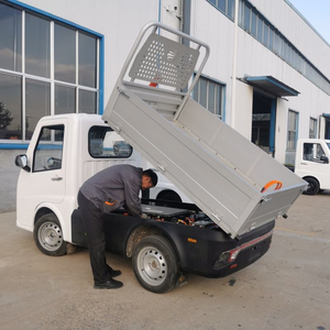 Vehículos de Nueva Energía con Certificación EEC <span class=keywords><strong>COC</strong></span> DOT, Auto Eléctrico de <span class=keywords><strong>2</strong></span> Plazas para Adultos, Camioneta con Volante a la Derecha/Izquierda y Volquete en Venta - Product Image 1