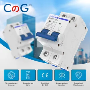 CG 2 Pole DC Miniature Circuit Breaker 10A 16A 20A 25A 32A 40A 50A 63A 1000V Thermal Magnetic Trip Din Rail Mount Switch