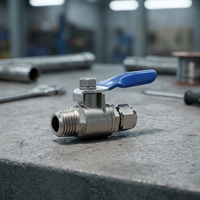 Accessoires de robinetterie de marque OEM, vanne à bille à double union, connexion 1/2'', matériau en acier inoxydable 304
