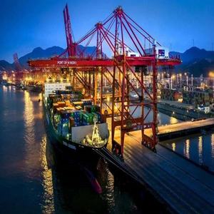 अंतर्राष्ट्रीय रसद समुद्र fcl ll 20 फीट 40 फीट 40 फीट चीन माल ढुलाई फारवर्डर शेन्ज़ेन शिपिंग एजेंट - Product Image 2