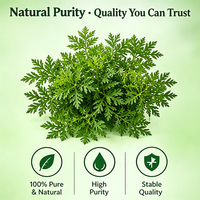 Échantillon Gratuit Huile Essentielle 100% Pure Naturelle Biologique Écologique d'Artemisia Annua pour Diffuseur de Parfum