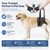 Harnais de soutien dorsal respirant et durable pour chien en polyester, idéal pour la rééducation des chiens âgés et souffrant d'arthrite, avec logo personnalisé OEM/ODM