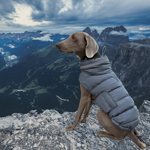Chaqueta de perro de diseño clásico de poliéster ecológico de lujo-Abrigo de invierno cálido resistente al agua para todo tipo de clima para perros - Product Image 6