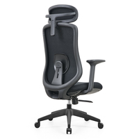 Chaise de bureau ergonomique avec soutien lombaire adaptatif en maille, accoudoirs fixes, design moderne, pivotante, chaise de direction