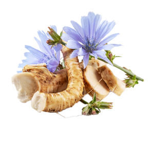 Private Label Inulin Zichorie wurzel extrakt Zichorie wurzel extrakt Sofort geröstetes Zichorie wurzel pulver - Product Image 3