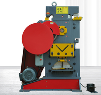 Nouvelle machine à cisailler hydraulique pour la découpe, le poinçonnage et la cisaille de profilés en acier / Machine à poinçonner et à cisaille