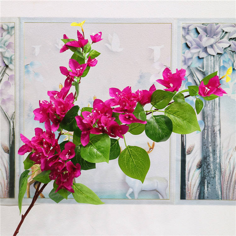 2 branches Bougainvillea - 2