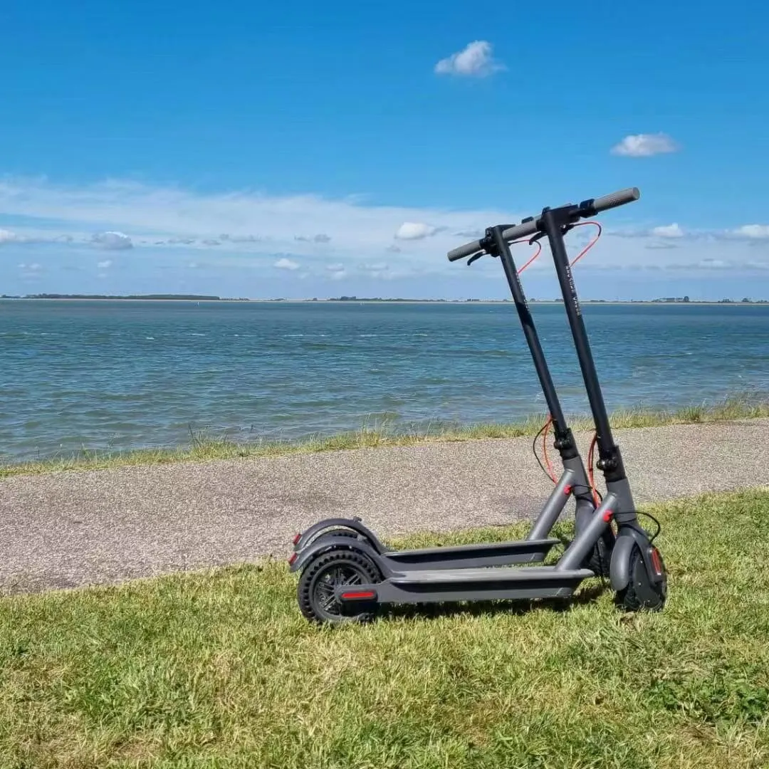 Kostenloser Versand Amerika Warehouse Elektro-Scooter 36 V 350 W leistungsstarker günstiger Elektro-Scooter für Erwachsene