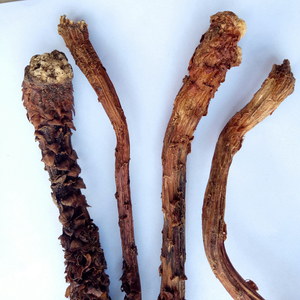 Pièces de Broomrape entières séchées Liedang Champignon de plante de Broomrape naturel à vendre - Product Image 5