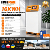 Batterie de stockage d'énergie solaire Braun Power, étanche IP20, 51,2 V, 300 Ah, 320 Ah, 15 kWh, 16 kWh, batterie de stockage d'énergie domestique verticale Lifepo4