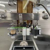 HAOYUAN Machine d'emballage de liquide automatique SJ-ZF1000 pour l'eau, jus, produits chimiques, sachets de sachets en plastique alimentaire, pompe d'étanchéité de sac Dingi