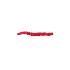 Señuelo de Pesca de Gusano de Plástico Suave <span class=keywords><strong>para</strong></span> Niños y Niñas Hecho de Material de PVC Duradero - Product Image 1