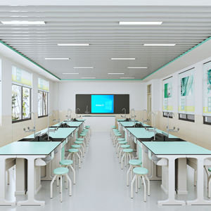 Mesa de Trabajo Moderna para Laboratorio Escolar de PP Comercial con Fregaderos Químicos y Biológicos - Product Image 1