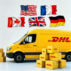 Transporte Aéreo Económico DDP Logística Desde China a Arabia Saudita, Estados Unidos, Reino Unido, Canadá, España, Francia, Portugal Agente de Envío Exprés UPS DHL - Product Image 1