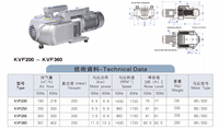Bombas de Vacío Rotativas de Paletas Secas Trifásicas de -80kpa, Sin Aceite, 250m3/h, Bomba de Vacío de Funcionamiento en Seco de 5.5kw KVF250