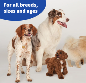 Cuidado Suplemento <span class=keywords><strong>para</strong></span> el cuidado de las articulaciones de <span class=keywords><strong>perros</strong></span> <span class=keywords><strong>viejos</strong></span> Producto cuadrado Suplemento <span class=keywords><strong>para</strong></span> la cadera y las articulaciones del perro masticable Comida <span class=keywords><strong>para</strong></span> mascotas <span class=keywords><strong>para</strong></span> <span class=keywords><strong>perros</strong></span> - Product Image 2