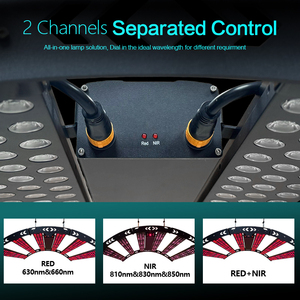 Công suất cao 1000W điều khiển từ xa 2 kênh Dimmer & hẹn giờ 792PCS đèn LED hồng ngoại & liệu pháp ánh sáng đỏ ngựa & con người để giảm đau - Product Image 3