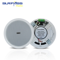 BT622 20W Sistema de música de fondo para el hogar Altavoz de techo PA activo compatible con BT para uso en cine en casa con teléfonos móviles