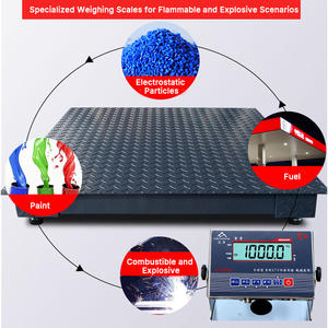 2000Kg Industrielle Waage Plattform-Bodenwaage mit Explosionsschutz - Product Image 5