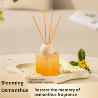 Diffuseur de roseaux d'huile essentielle de 100ml-Parfum d'intérieur pour le salon, la chambre et la salle de bain, décor d'aromathérapie longue durée