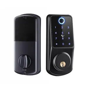 Serrure intelligente intelligente Tuya TTlock elettronico intelligente con impronta digitale fechadura smart catenaccio serratura porta