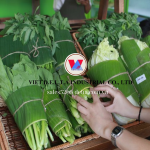 FEUILLE DE BANANE CONGELÉE ÉCOLOGIQUE UTILISÉE POUR LA PRÉPARATION DES PLATS, L'EMBALLAGE ALIMENTAIRE ET LA DÉCORATION DE LA MAISON À BON PRIX - Product Image 1