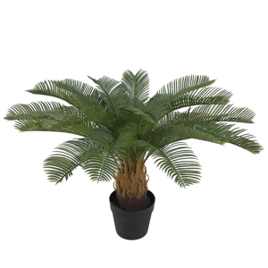 Cycas Sago ต้นบอน<span class=keywords><strong>ไซ</strong></span>ประดิษฐ์สำหรับตกแต่งบ้าน,ต้นปาล์ม Palme Cycas Revoluta พร้อมหม้อ - Product Image 2