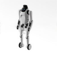 Robot humanoïde transformable pour l'éducation, le divertissement, le compagnonnage et la photographie mobile T1