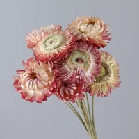 Chrysanthèmes séchés naturels frais de petite taille pour DIY, vente en gros, directement de l'usine, idéal pour un cadeau pour petite amie